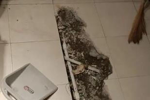 永嘉卫生间漏水检测电话